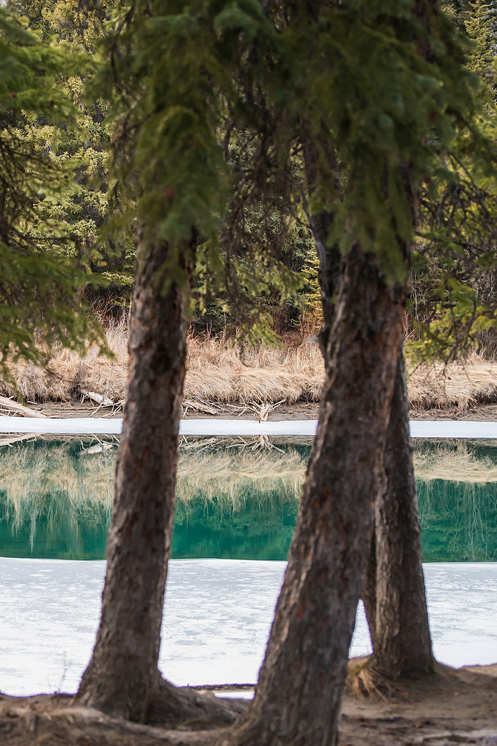 Edmonton Photography Travel